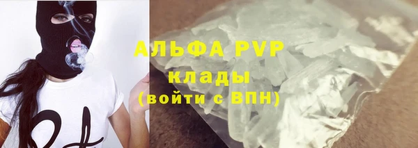 PSILOCYBIN Балабаново